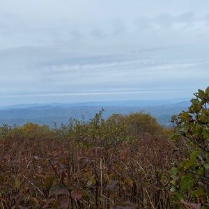 Meet your Posher, Luke